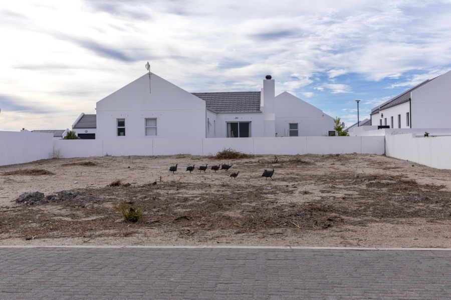 3 Bedroom Property for Sale in Atlantic Sands Private Estate Western Cape